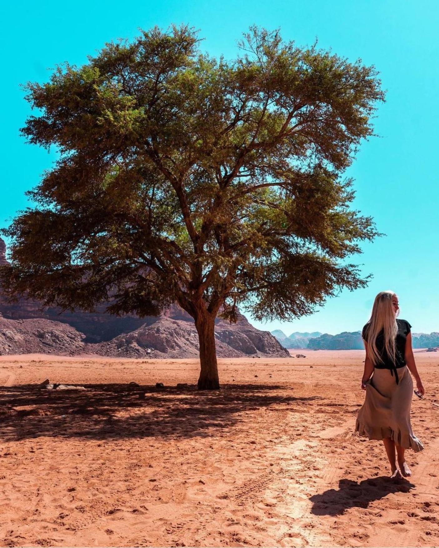 Bedouin Bunch Camp Hotell Wadi Rum Exteriör bild