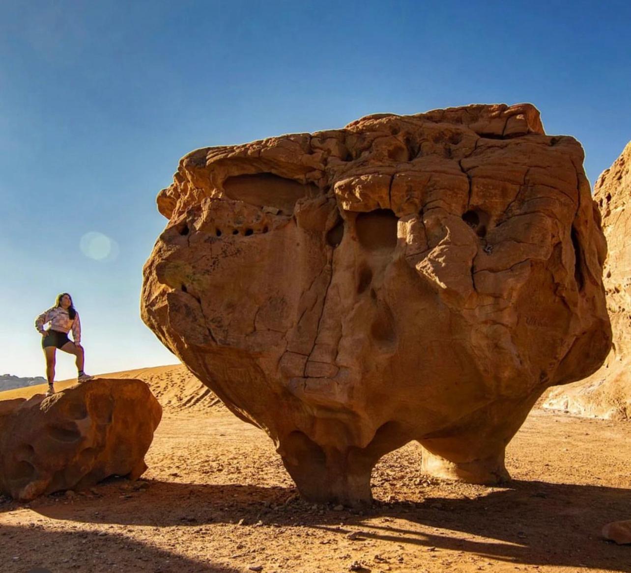 Bedouin Bunch Camp Hotell Wadi Rum Exteriör bild